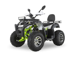 Квадроцикл R-moto Lion 200LD (с лебёдкой)