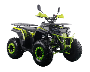 Квадроцикл Racer RC200 FreeLander
