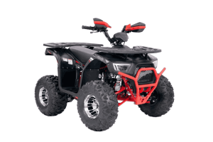 Квадроцикл ATV Yacota SIRIUS 125 LD
