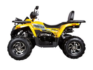 Квадроцикл Avantis Hunter 250 BIG NEW Premium (баланс. вал)