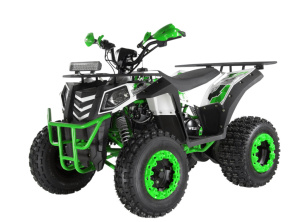 Квадроцикл WELS Thunder Evo X 200