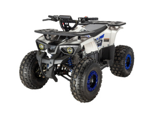 Квадроцикл ATV Classic 8 NEW (2025)