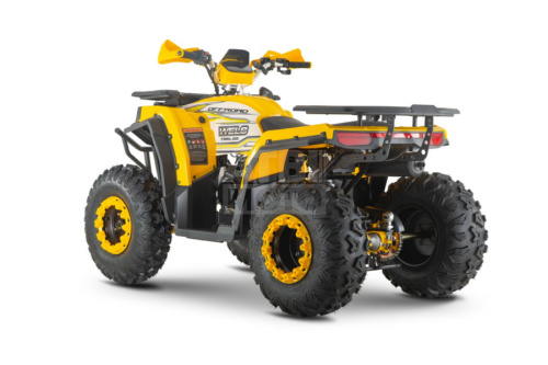 Квадроцикл WELS Thunder Trail 200 Квадроцикл WELS Thunder Trail 200