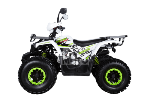 Квадроцикл Avantis Hunter 8 NEW Lux 2025 (125 см3) Квадроцикл Avantis Hunter 8 NEW Lux 2025 (125 см3)