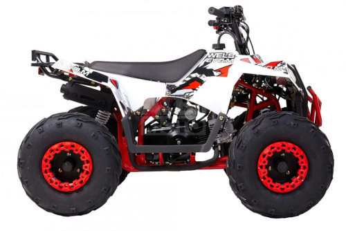 Квадроцикл WELS Thunder Evo.M 110 Квадроцикл WELS Thunder Evo.M 110