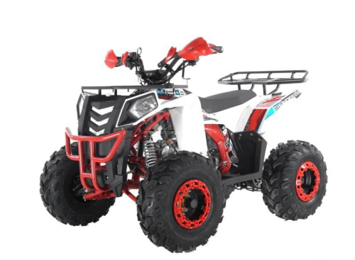 Квадроцикл WELS Thunder Evo 125 (2025) Квадроцикл WELS Thunder Evo 125 (2025)