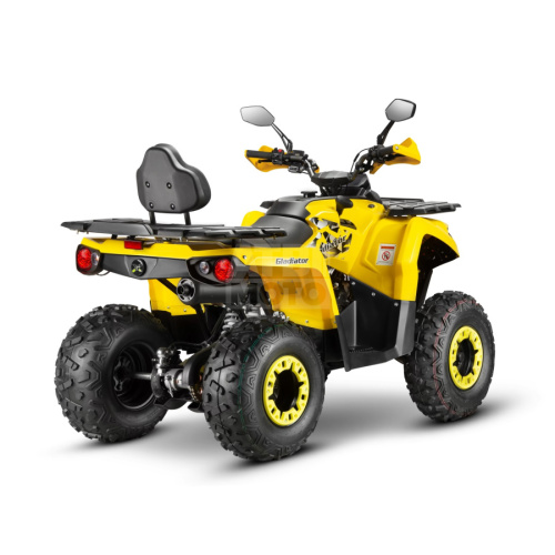 Квадроцикл Gladiator F200 Lux (2024) Квадроцикл Gladiator F200 Lux (2024)