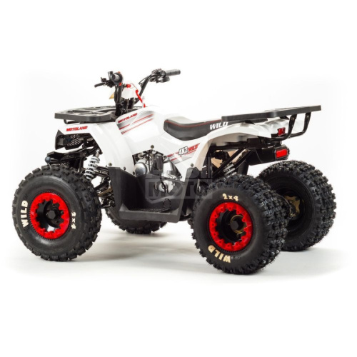 Квадроцикл Wild 125A Квадроцикл Wild 125A