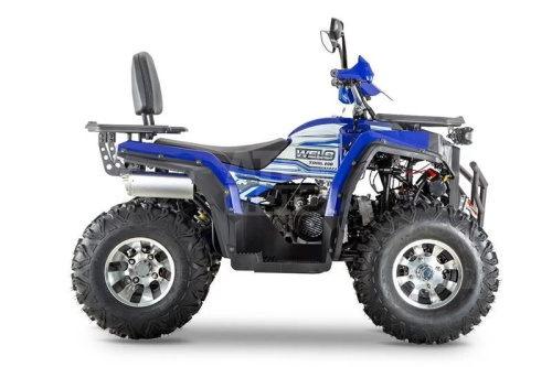 Квадроцикл WELS Thunder Trail 200 PRO Квадроцикл WELS Thunder Trail 200 PRO