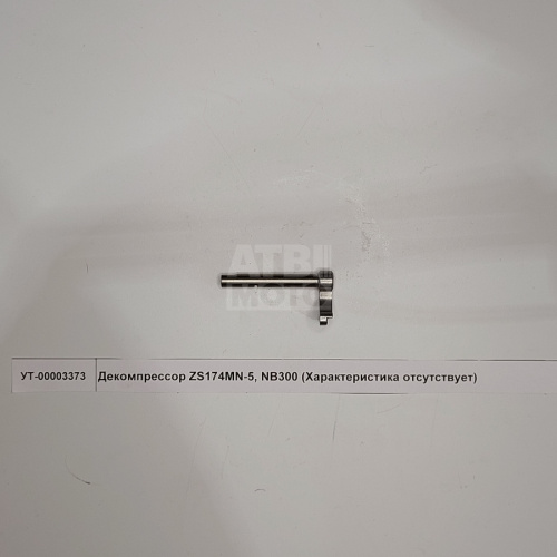 Декомпрессор ZS174MN-5, NB300 Декомпрессор ZS174MN-5, NB300