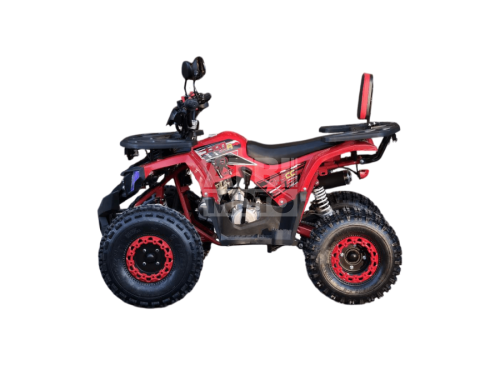 Квадроцикл R-moto Lion 125 A Квадроцикл R-moto Lion 125 A