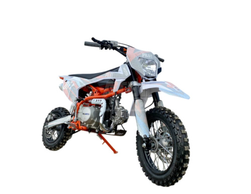 Питбайк Regulmoto PILOT EA 12/10 Питбайк Regulmoto PILOT EA 12/10