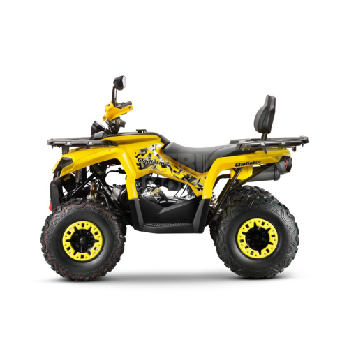 Квадроцикл Gladiator F200 Lux (2024) Квадроцикл Gladiator F200 Lux (2024)