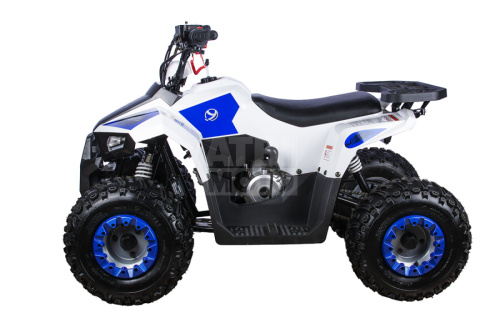 Квадроцикл Yacota Raposa 110 Квадроцикл Yacota Raposa 110