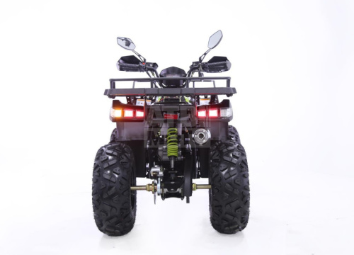 Квадроцикл Yacota WARRIOR 200 PRO Квадроцикл Yacota WARRIOR 200 PRO