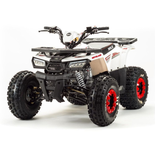 Квадроцикл Wild 125A Квадроцикл Wild 125A