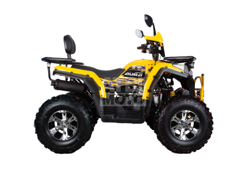 Квадроцикл Avantis AURA 200 Premium Квадроцикл Avantis AURA 200 Premium