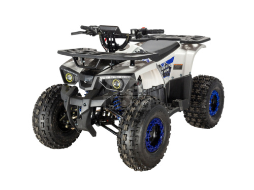 Квадроцикл ATV Classic 8 NEW (2025) Квадроцикл ATV Classic 8 NEW (2025)